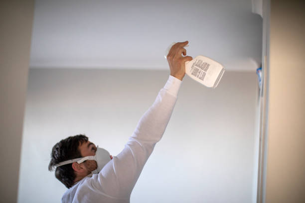 Best Mold Removal Company Near Me  in Chalfont, PA