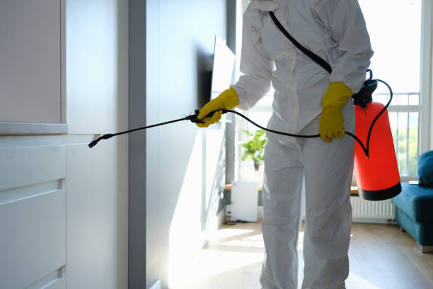 Best Mold Cleaning Services  in Chalfont, PA