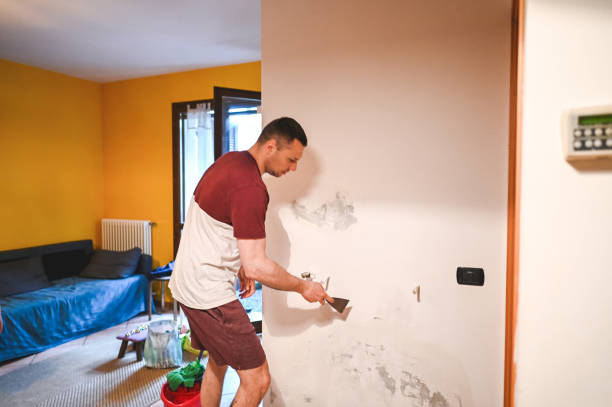 Home Mold Removal in Chalfont, PA