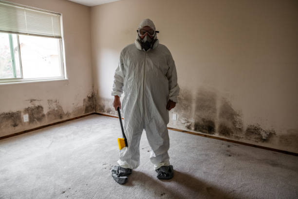 Best Attic Mold Removal  in Chalfont, PA