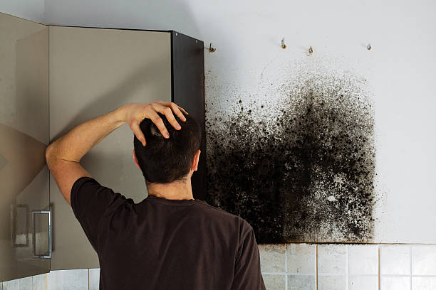 Best Professional Mold Removal  in Chalfont, PA